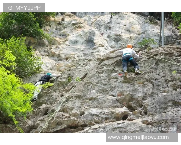 广州攀岩队团队协作引发热议背后的争议与思考