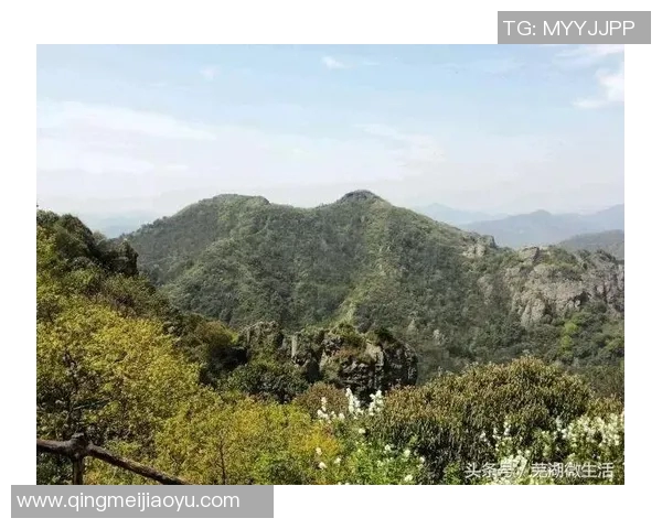 芜湖名称的由来与历史渊源探析以及现代发展中的独特意义 芜湖名称的由来与历史渊源探析以及现代发展中的独特意义