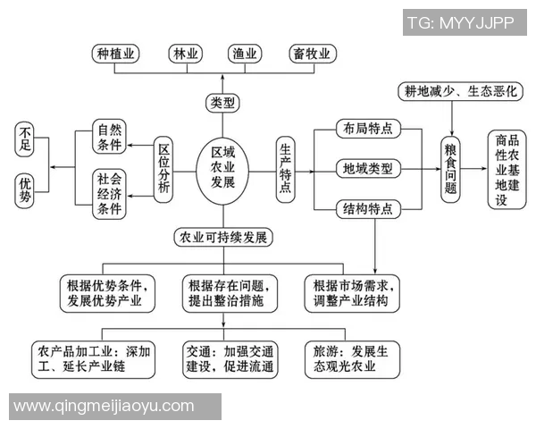广州排球队中路突破的优势与不足分析及未来发展方向探讨 广州排球队中路突破的优势与不足分析及未来发展方向探讨
